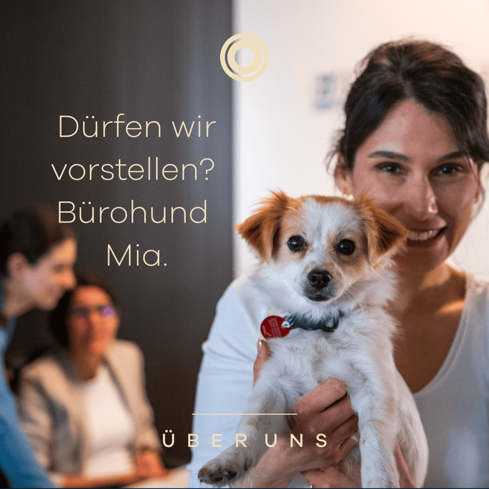 Bürohund